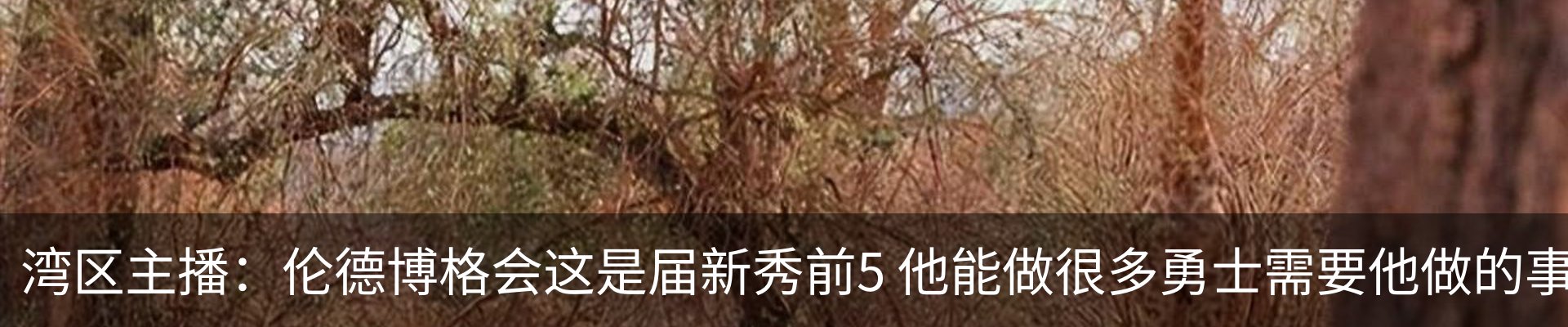 行业资讯